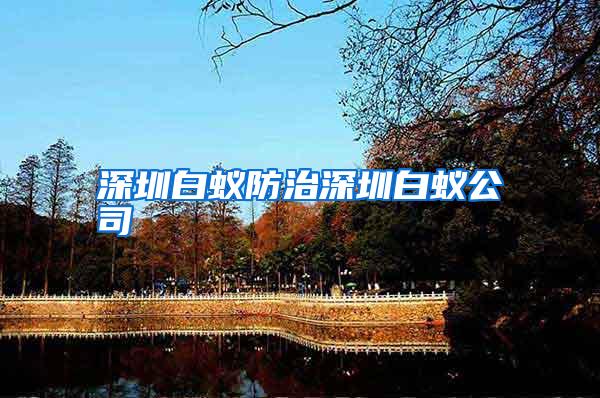 深圳白蚁防治深圳白蚁公司