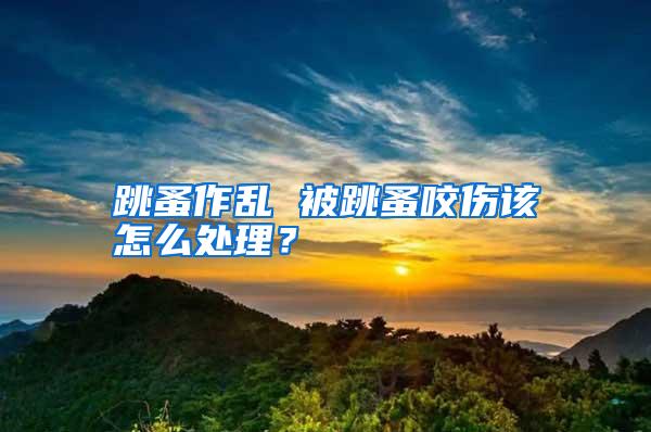 跳蚤作乱 被跳蚤咬伤该怎么处理?