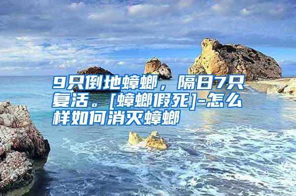 9只倒地蟑螂，隔日7只复活。[蟑螂假死]-怎么样如何消灭蟑螂