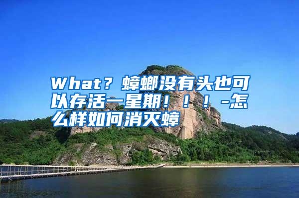 What？蟑螂没有头也可以存活一星期！！！-怎么样如何消灭蟑