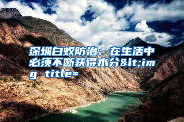 深圳白蚁防治:在生活中必须不断获得水分<img title=