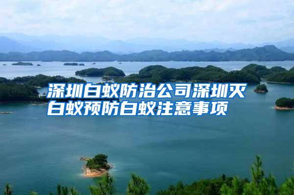 深圳白蚁防治公司深圳灭白蚁预防白蚁注意事项