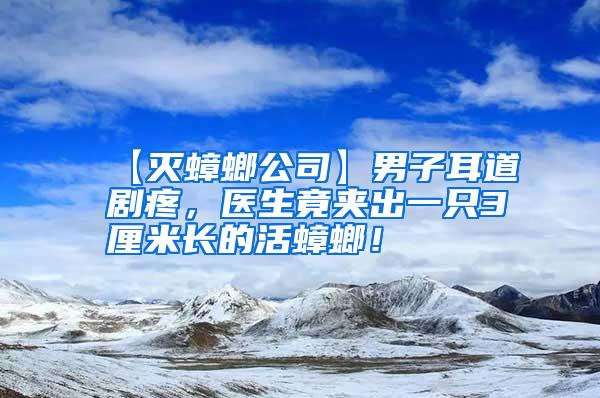【灭蟑螂公司】男子耳道剧疼,医生竟夹出一只3厘米长的活蟑螂!