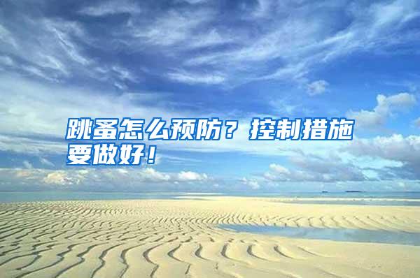 跳蚤怎么预防?控制措施要做好!