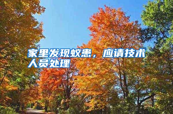 家里发现蚁患,应请技术人员处理