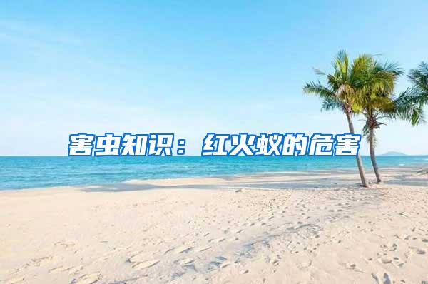 害虫知识:红火蚁的危害