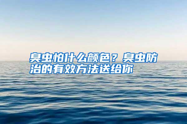 臭虫怕什么颜色?臭虫防治的有效方法送给你