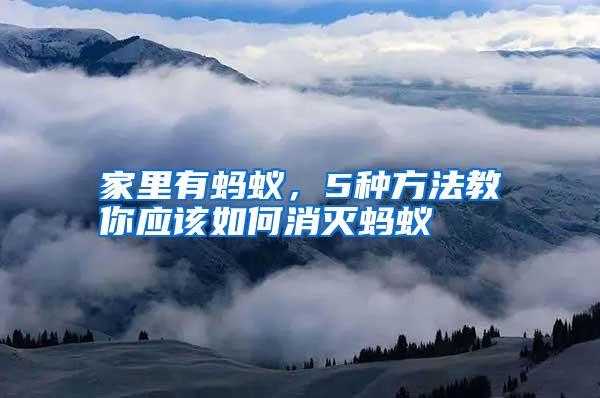 家里有蚂蚁,5种方法教你应该如何消灭蚂蚁