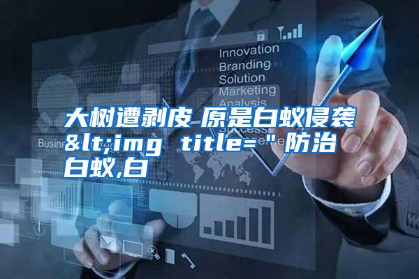 大树遭剥皮 原是白蚁侵袭<img title="防治白蚁,白