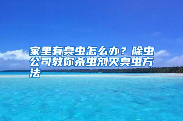 家里有臭虫怎么办？除虫公司教你杀虫剂灭臭虫方法