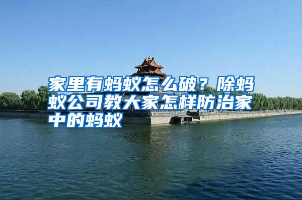 家里有蚂蚁怎么破?除蚂蚁公司教大家怎样防治家中的蚂蚁