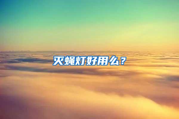 灭蝇灯好用么?
