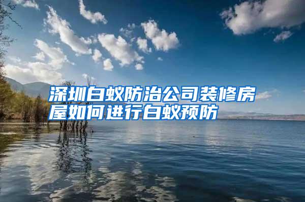 深圳白蚁防治公司装修房屋如何进行白蚁预防