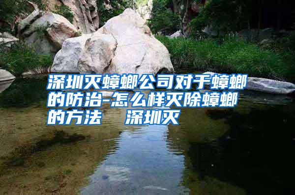 深圳灭蟑螂公司对于蟑螂的防治-怎么样灭除蟑螂的方法 深圳灭