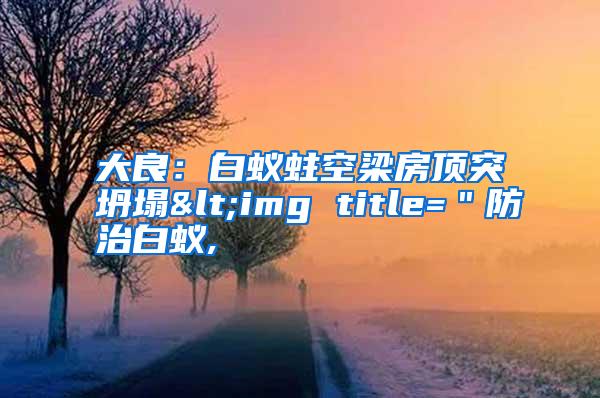 大良:白蚁蛀空梁房顶突坍塌<img title="防治白蚁,