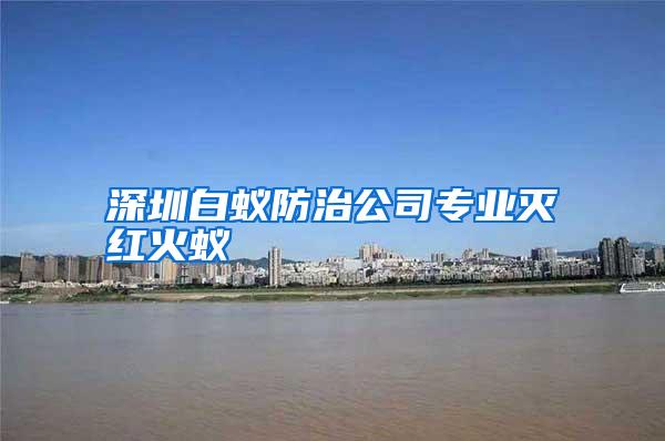 深圳白蚁防治公司专业灭红火蚁