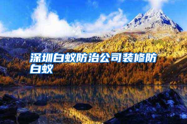 深圳白蚁防治公司装修防白蚁