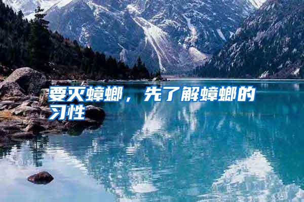 要灭蟑螂,先了解蟑螂的习性