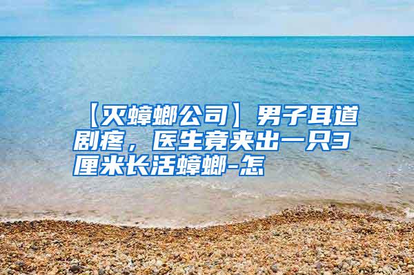 【灭蟑螂公司】男子耳道剧疼,医生竟夹出一只3厘米长活蟑螂-怎