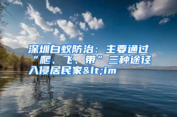 深圳白蚁防治：主要通过“爬、飞、带”三种途径入侵居民家<im