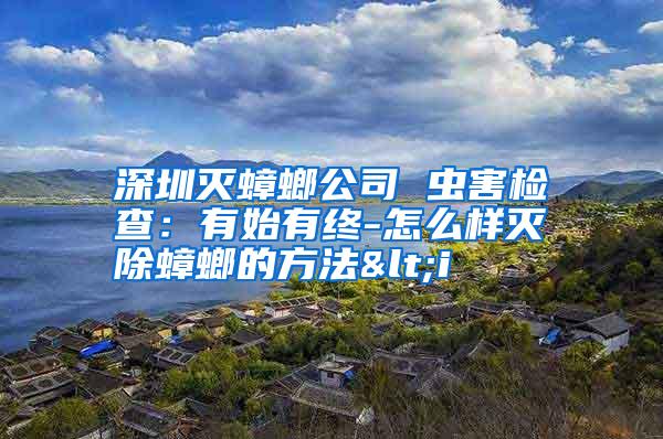 深圳灭蟑螂公司 虫害检查:有始有终-怎么样灭除蟑螂的方法<i