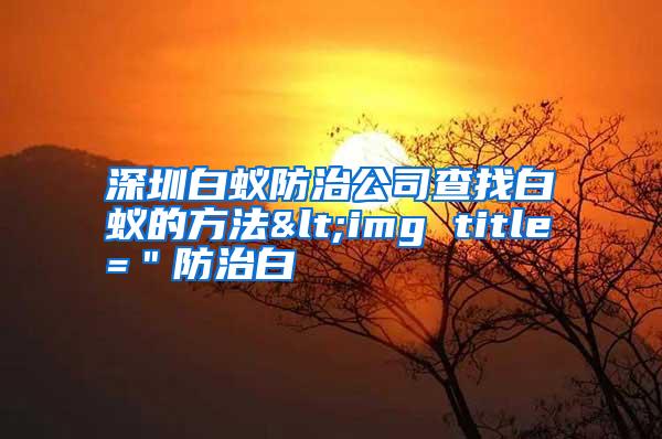 深圳白蚁防治公司查找白蚁的方法<img title=＂防治白