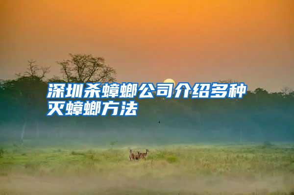 深圳杀蟑螂公司介绍多种灭蟑螂方法
