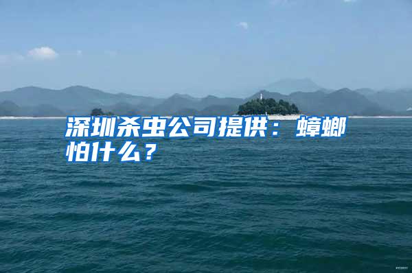 深圳杀虫公司提供：蟑螂怕什么？