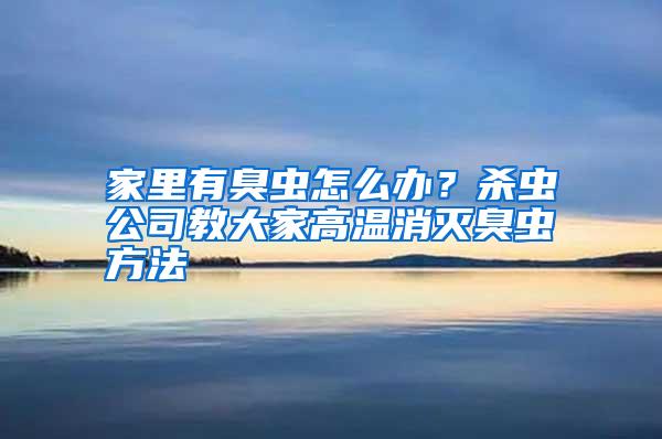 家里有臭虫怎么办？杀虫公司教大家高温消灭臭虫方法