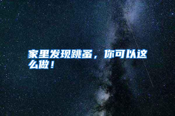 家里发现跳蚤，你可以这么做！