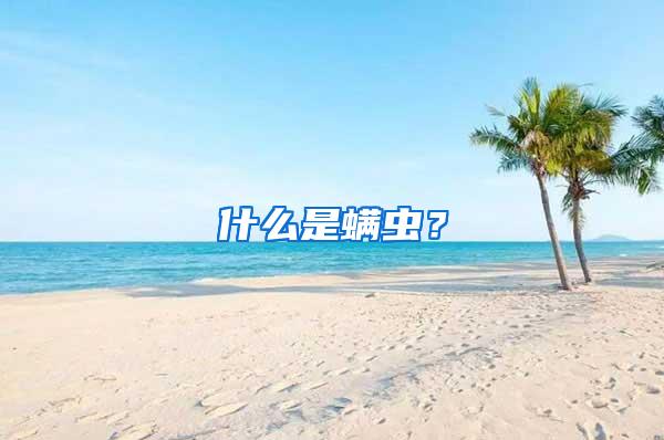 什么是螨虫?