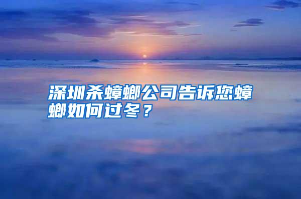 深圳杀蟑螂公司告诉您蟑螂如何过冬？