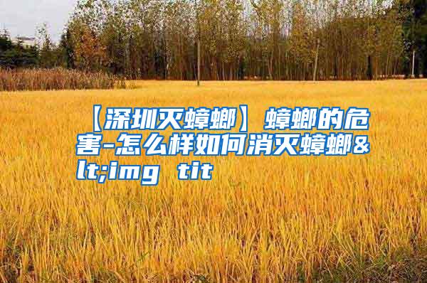 【深圳灭蟑螂】蟑螂的危害-怎么样如何消灭蟑螂<img tit