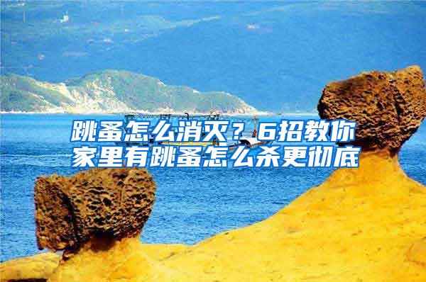 跳蚤怎么消灭?6招教你家里有跳蚤怎么杀更彻底