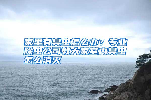 家里有臭虫怎么办?专业除虫公司教大家室内臭虫怎么消灭