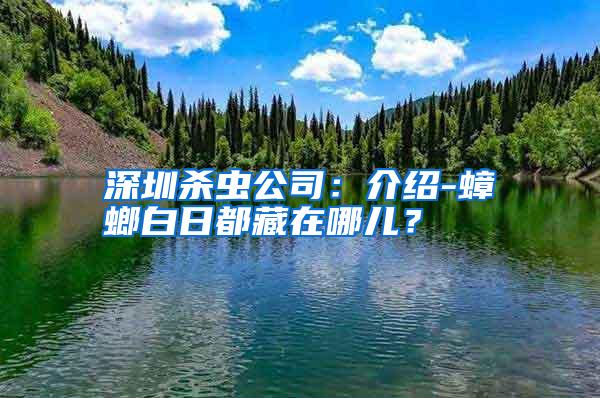 深圳杀虫公司:介绍-蟑螂白日都藏在哪儿?