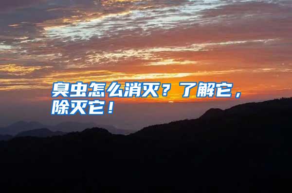 臭虫怎么消灭?了解它,除灭它!
