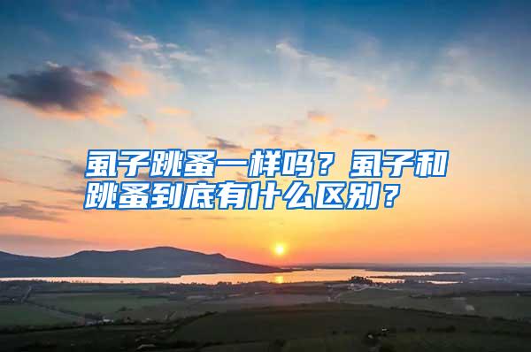 虱子跳蚤一样吗?虱子和跳蚤到底有什么区别?