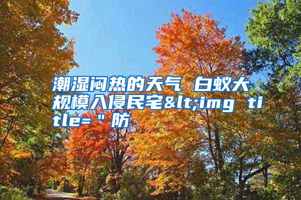 潮湿闷热的天气 白蚁大规模入侵民宅<img title="防