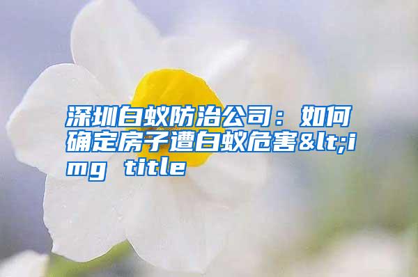 深圳白蚁防治公司：如何确定房子遭白蚁危害<img title