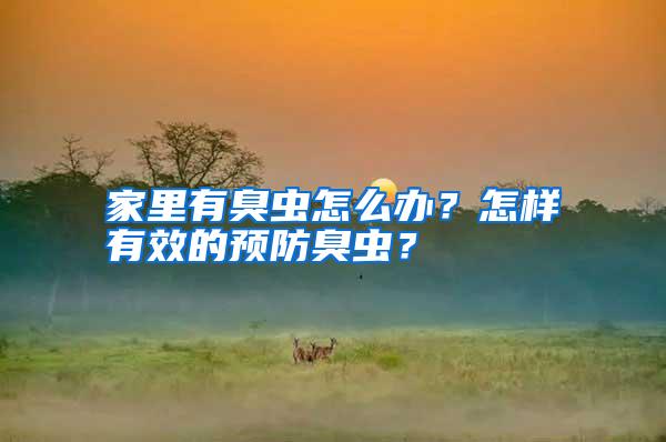 家里有臭虫怎么办?怎样有效的预防臭虫?