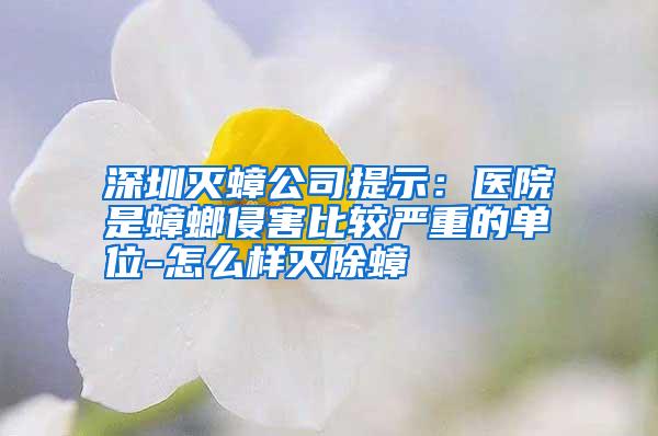 深圳灭蟑公司提示:医院是蟑螂侵害比较严重的单位-怎么样灭除蟑