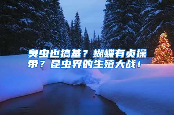 臭虫也搞基?蝴蝶有贞操带?昆虫界的生殖大战!