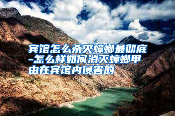 宾馆怎么杀灭蟑螂最彻底-怎么样如何消灭蟑螂甲由在宾馆内侵害的