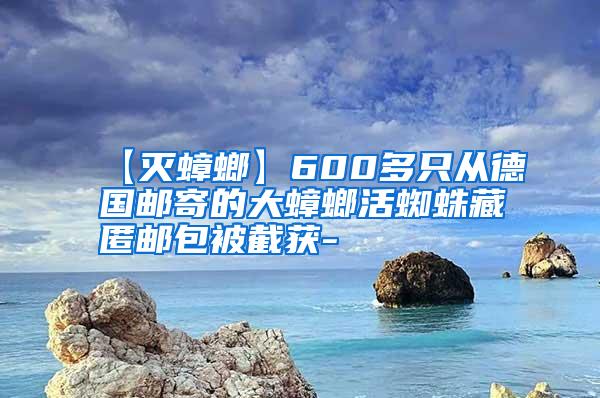 【灭蟑螂】600多只从德国邮寄的大蟑螂活蜘蛛藏匿邮包被截获-