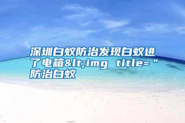 深圳白蚁防治发现白蚁进了电箱<img title=＂防治白蚁