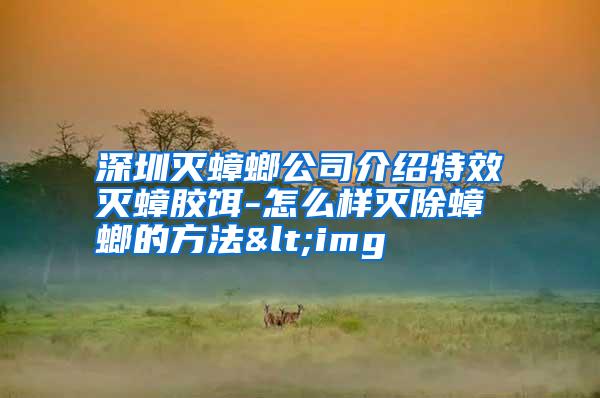 深圳灭蟑螂公司介绍特效灭蟑胶饵-怎么样灭除蟑螂的方法<img