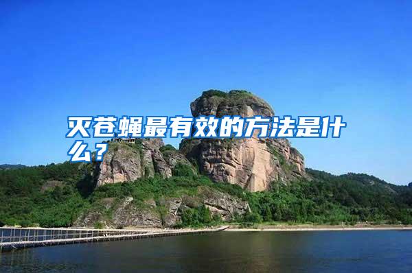 灭苍蝇最有效的方法是什么?