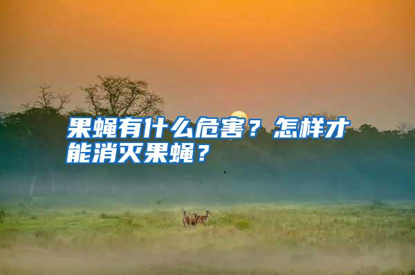 果蝇有什么危害？怎样才能消灭果蝇？