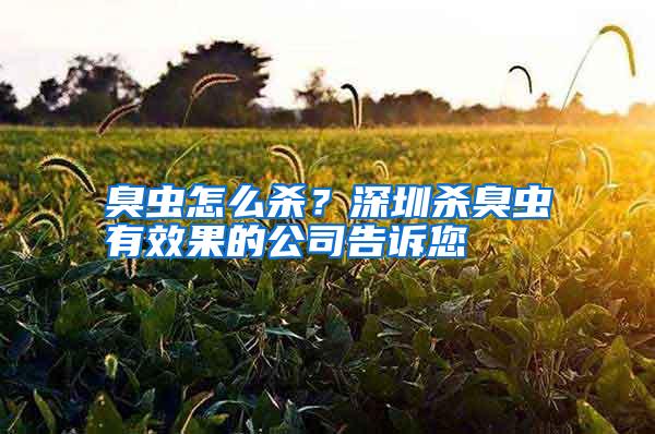 臭虫怎么杀?深圳杀臭虫有效果的公司告诉您